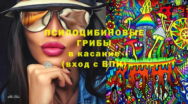 шишки Инсар