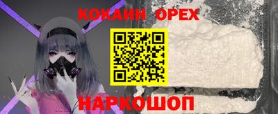 гашик Кандалакша