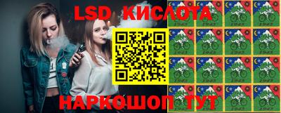 гашик Кандалакша