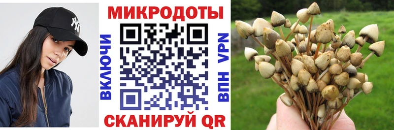 Галлюциногенные грибы мицелий  дарнет шоп  Мытищи 